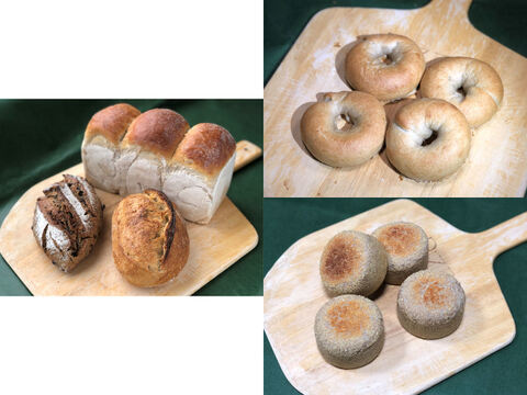 【超貴重な有機JAS認証パン】パンセット⑧+⑪+パンBOX:麦の栽培から一貫生産 自然栽培小麦のみ使用したイングリッシュマッフィン+ベーグル+基本のパンBOX【エッグベネディクトの作り方付】