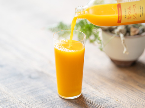 【希少柑橘なつみ】甘みが強く、程よい酸味が特徴！佐賀県産『なつみ』ストレートジュース／500ｍL×4本