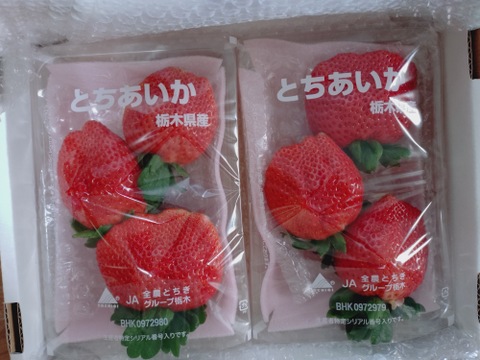 大粒！
厳選完熟とちあいか