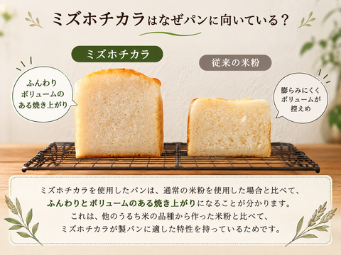 自然栽培・農薬・肥料不使用｜米粉「ミズホチカラ」1kg【パン・お菓子