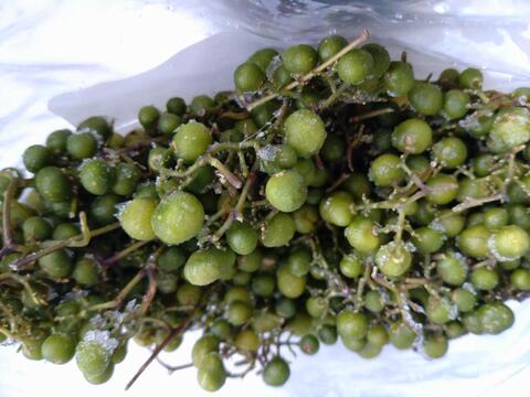 【冷凍】馬ぶどう　野ぶどう　野葡萄　青い実　600g