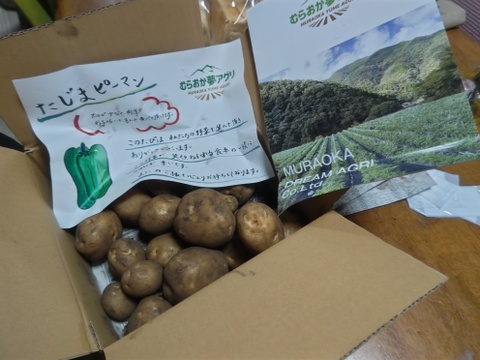 【１人１回だけの特別品】　兵庫県但馬産新じゃが！　《きたあかり　箱入２kg》
【父の日ギフト】