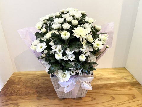 白菊とスプレーマムのお供えアレンジメント