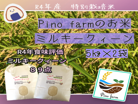 R4年産　Pino farmのお米　特別栽培米ミルキークイーン　【5㎏×2袋】