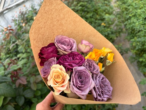 【ドライ】生花のような美しさを残したドライローズ　10本