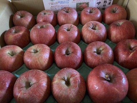 コレハお得だ！！完熟サンふじ　かわいいサイズ「小玉ちゃん」　丸かじりサイズ　お値下げ総決算価格！！　5キロ箱コース（20個から23個入り）ご好評販売中