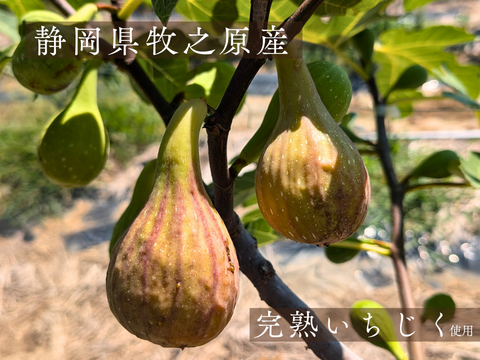 【至福の30日分560ｇ】３種のミツリッチドライいちじくスタンダード 　国産 無添加のミツリッチドライいちじく 　送料別　静岡県牧之原市のふるさと納税返礼品に採用。