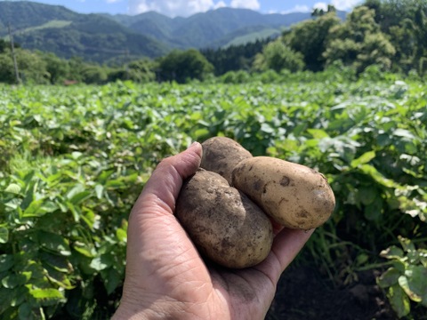 【１人１回だけの特別品】新じゃが２kg　兵庫県但馬産メークイン
【父の日ギフト】