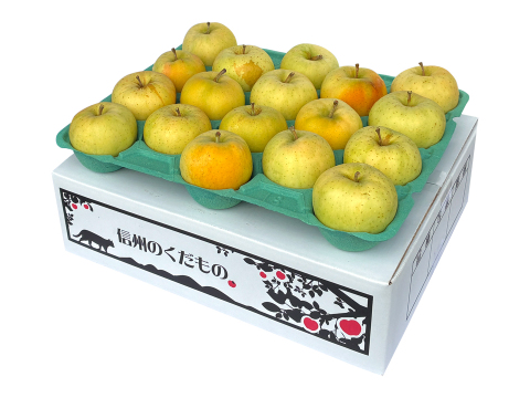 残り20ケース！【フルティーサマーアップル】トキ 5キロ箱 訳あり品 商品ID21060長野県 信州 安曇野 リンゴ 幻 幻のリンゴ 予約 希少 旬