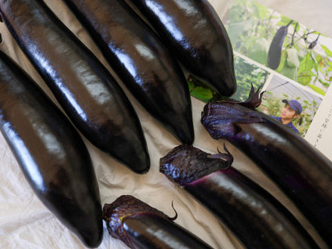 【金の土】胡瓜の一本漬けとナスとキュウリの3点セット