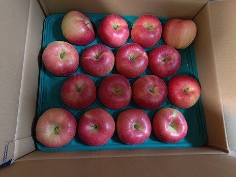 特別栽培!! 生産量の少ない希少りんご「華宝」Ａ品・5㎏