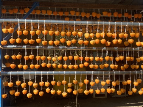 甲斐の国名産【枯露(ころ)柿】
太陽と風が渋〜い甲州百目柿を甘〜い干し柿に育てました！南国果実の様な濃厚な天然スイーツ枯露柿300gパック(6個前後チャック付袋入り)