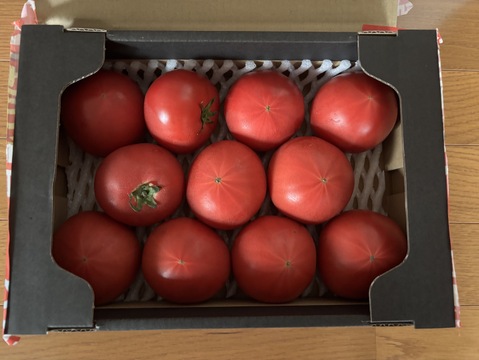 【北海道産】🍅樹上熟3段採り🍅桃太郎トマト2kg箱〈正品〉
