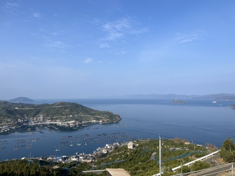 みかんジュース180ml×3本