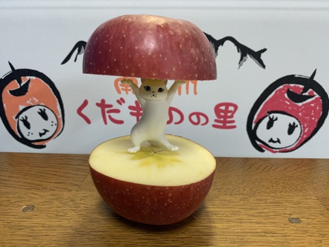 【冬ギフト】サンふじ 5kg 13~14玉