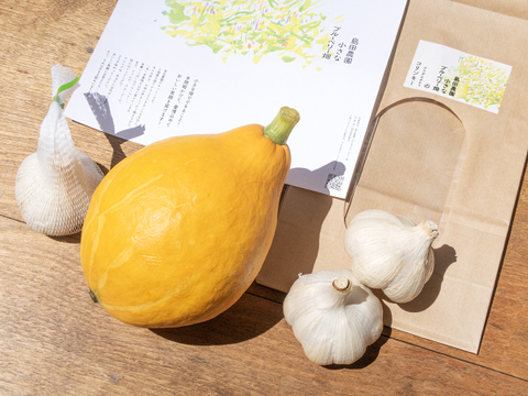 「コリンキー」１個(約５００g）と「ニンニク」３個セット【限定5箱】