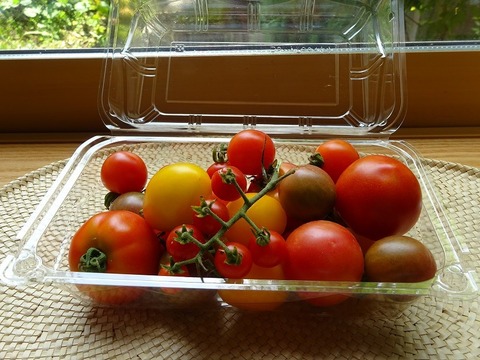 【数量限定太陽さんさん露地トマト】マイクロ～ミディサイズカラフルミックス🍅５～６品種　400gパック×２個入り＋サンマルツァーノ×2パック。