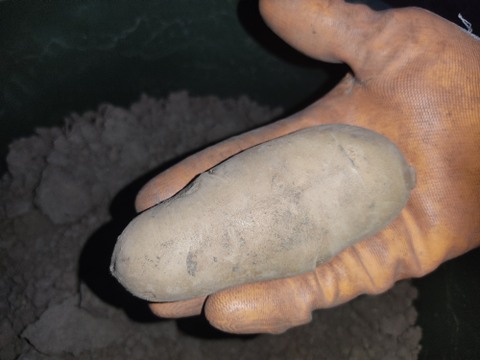 🥔農薬・化学肥料不使用「メイクイーン」3kg　Sサイズ🥔