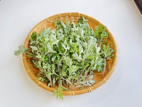 【有馬温泉の麓発】天然 生よもぎ100g 春の訪れの香り 兵庫県旧有馬郡産 山菜