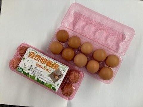 自然卵養鶏　山口県防府市の新鮮で美味しいたまご　20個