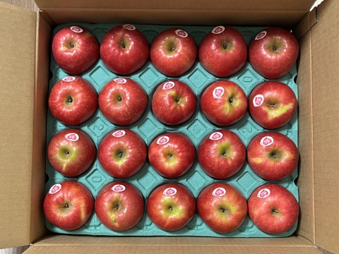 【発送中🍎】ピンクレディー®︎ 家庭用B品 5キロ箱使用 長野県 信州 安曇野 リンゴ 幻 幻のリンゴ 予約 希少 旬 小キズあり 中玉〜小玉 商品ID31409