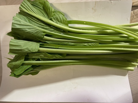 今が旬☆山菜！秋田県鹿角市産の葉が開いた山うるい1kg：秋田県
