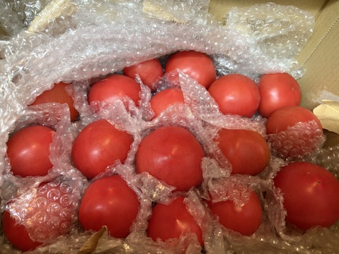 【新年度割引中】【余韻の旨さ】完全完熟トマト 約4kg   15〜30個入り🍅  【母の日ギフト】