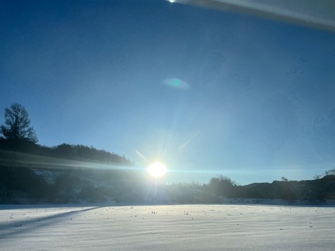 【にんにくの王様】青森 最高級にんにく『白玉王』の超希少な〝生〟にんにく（Lサイズ）
にんにくの概念変える！～ホクホク甘い、主役になるにんにく～