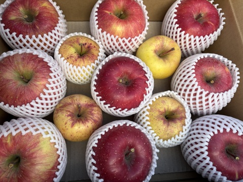 訳あり 大玉サンふじと小～中玉 ぐんま名月 5キロ箱  長野県産