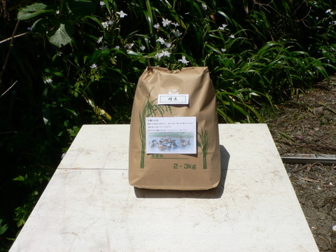 令和５年新米【合鴨が育てたお米】 白米 ３ｋｇ農薬化学肥料不使用