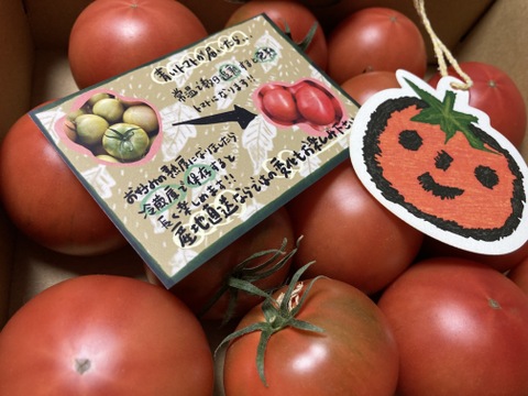 むぎゅっとがっしり！！個性派！濃旨フルーツトマト（箱入り・約1kg)