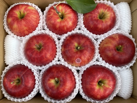 特選　ジョナゴールド　約3kg【2025年産】