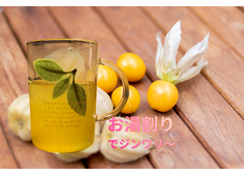 新商品✨陽光の輝き　自然派リキュール🍹ゴールデンベリーリキュール「AUREA TROPICA」200ml×1本入り