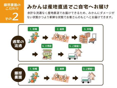 YN26（みかん）家庭用5kg｜和歌山で生まれた温州みかんの有望品種を産地直送でお届け