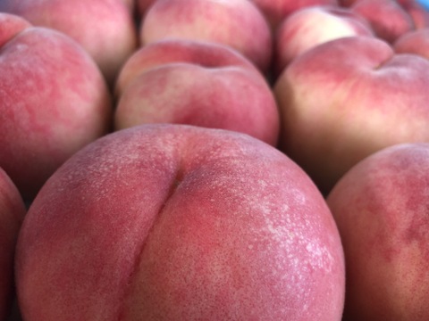 桃「川中島」家庭用5kg（10〜18玉）