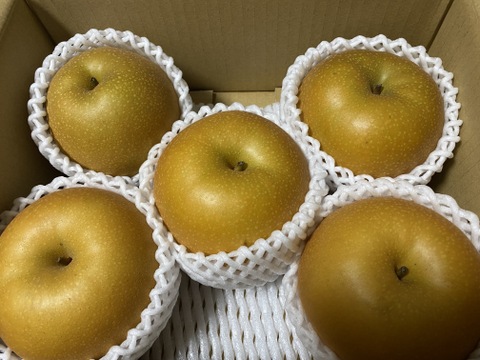 【樹上完熟和梨】あきづき～抜群のシャキシャキ感と濃厚な甘さ～約2.2㎏