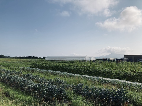 野菜ソムリエ厳選 農薬化学肥料不使用！
こだわり旬のお試し野菜セット！ 滋賀県産
