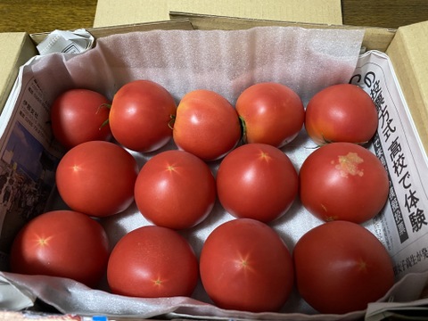 かわいいサイズのトマト