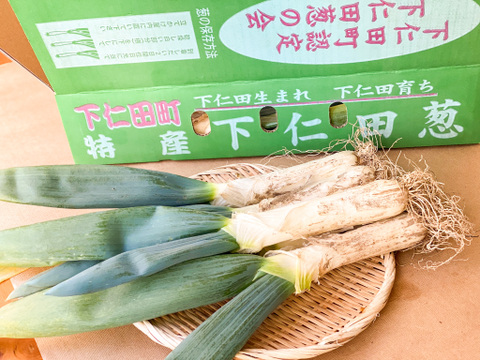 下仁田ネギの醤油漬け！
