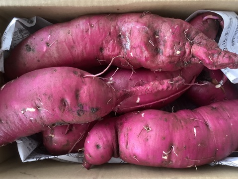 🍠さつまいも　紅はるか🍠　２kg❗️