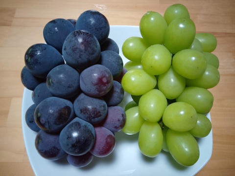食べ比べセット🍇岡山県産シャインマスカット＆ニューピオーネ（ご家庭