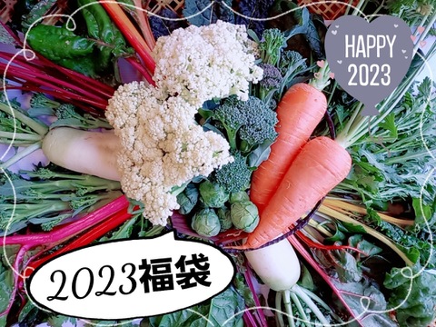 【2023年 野菜の福袋】ウサ飼いさん応援します！農家のお任せ野菜セットfrom 名水の里　神奈川県秦野市
