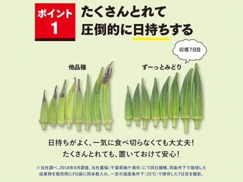8月発送【翌日着可能地域限定】オクラ 300g ネコポス発送(送料全国一律)