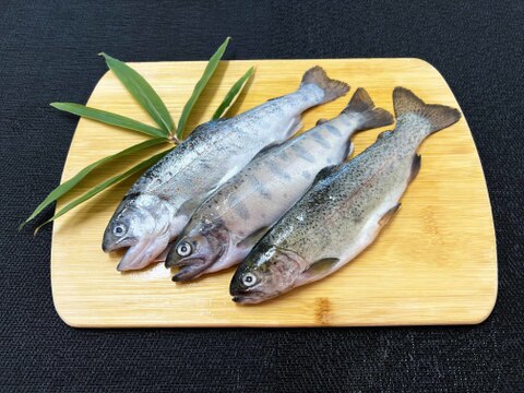 お料理やキャンプに！３種の川魚食べ比べセット