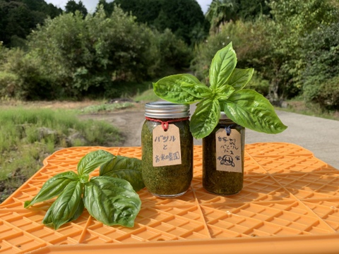 訳あり！バジル農家の採れたて生バジル　５００g