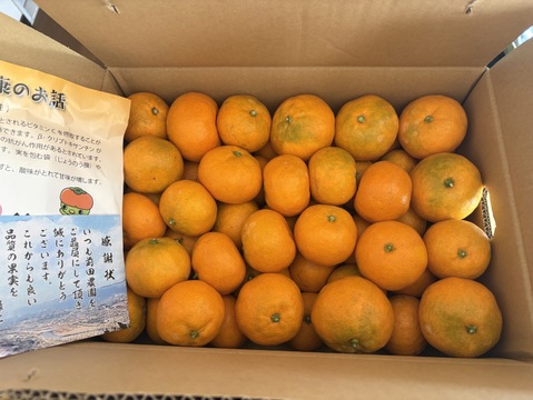 【特別栽培】和歌山県(桃山町産)　みかん【宮川早生】5kg。