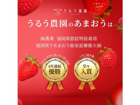 極上あまおう400ｇ　～ベロアギフトボックス～【冬ギフト】