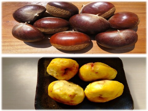 【限定7】希少で人気の　利平栗　農薬不使用 自然栽培