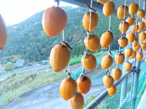 干し柿が甘くなりましたので販売開始いたします。
１２５ｇ入り（２～４個）真空パックを２パックでお届けします。