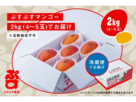 【夏ギフト】ぷすぷすマンゴー2キロ（4～5玉）